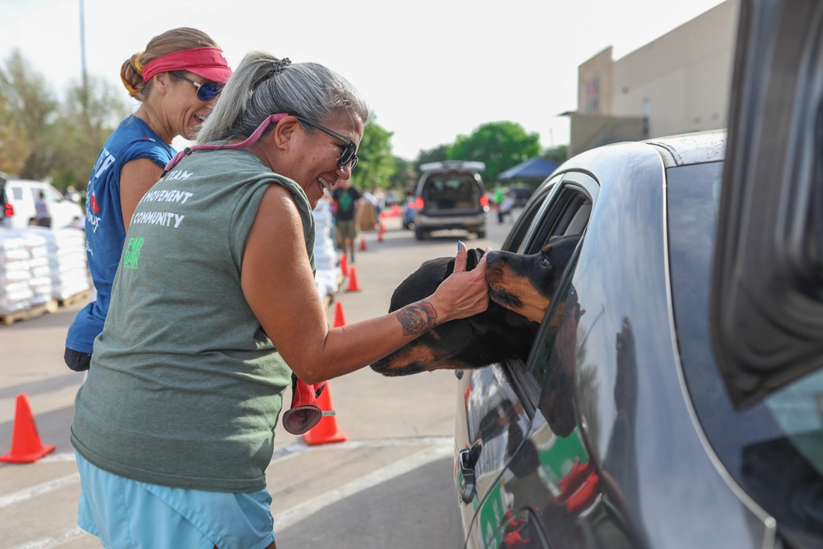 Woman pets two dogs leaning their heads out of car window.